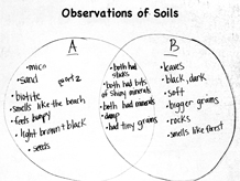 Class chart:  Observations of Soils
