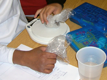 Students weighing shells