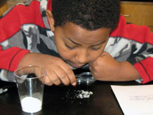 Student observing salt with magnifier