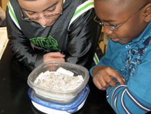 Students weighing dried mini-lake