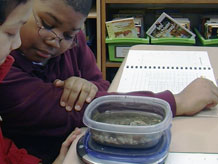 Students weighing uncovered mini-lake