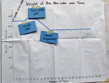 Classroom chart of mini-lake over time on paper